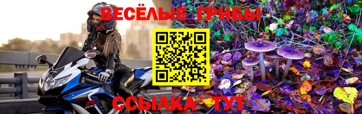 Кириши  Псилоцибиновые грибы GOLDEN TEACHER  Вход с VPN  Псилоцибиновые грибы GOLDEN TEACHER 